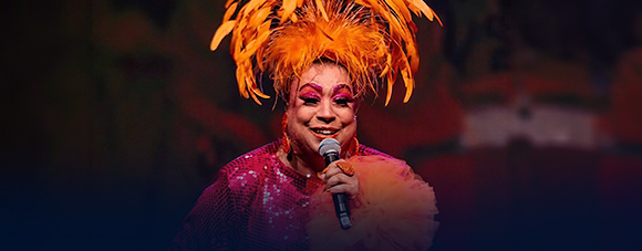 MARIA ALCINA CANTA ROBERTO, ERASMO, TIM MAIA E JORGE BEN JOR  – A TURMA DA TIJUCA